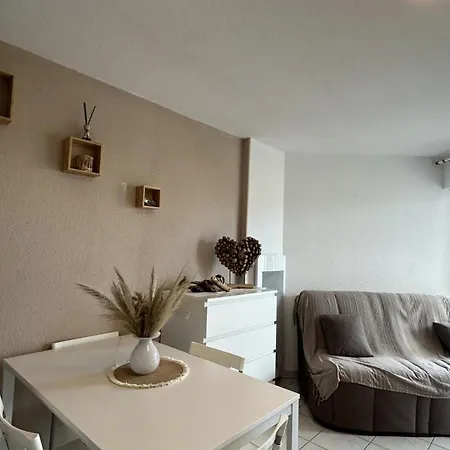 Apartment Moderne Avec Piscine, Proche Et Commodites, Saint-cyprien - Fr-1-732-71 *