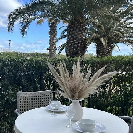 Moderne Avec Piscine, Proche Et Commodites, Saint-cyprien - Fr-1-732-71 Apartment